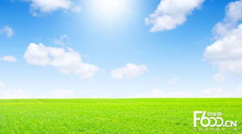 睿容空氣凈化器加盟指南 加盟費(fèi)、官網(wǎng)、條件流程及政策支持解析